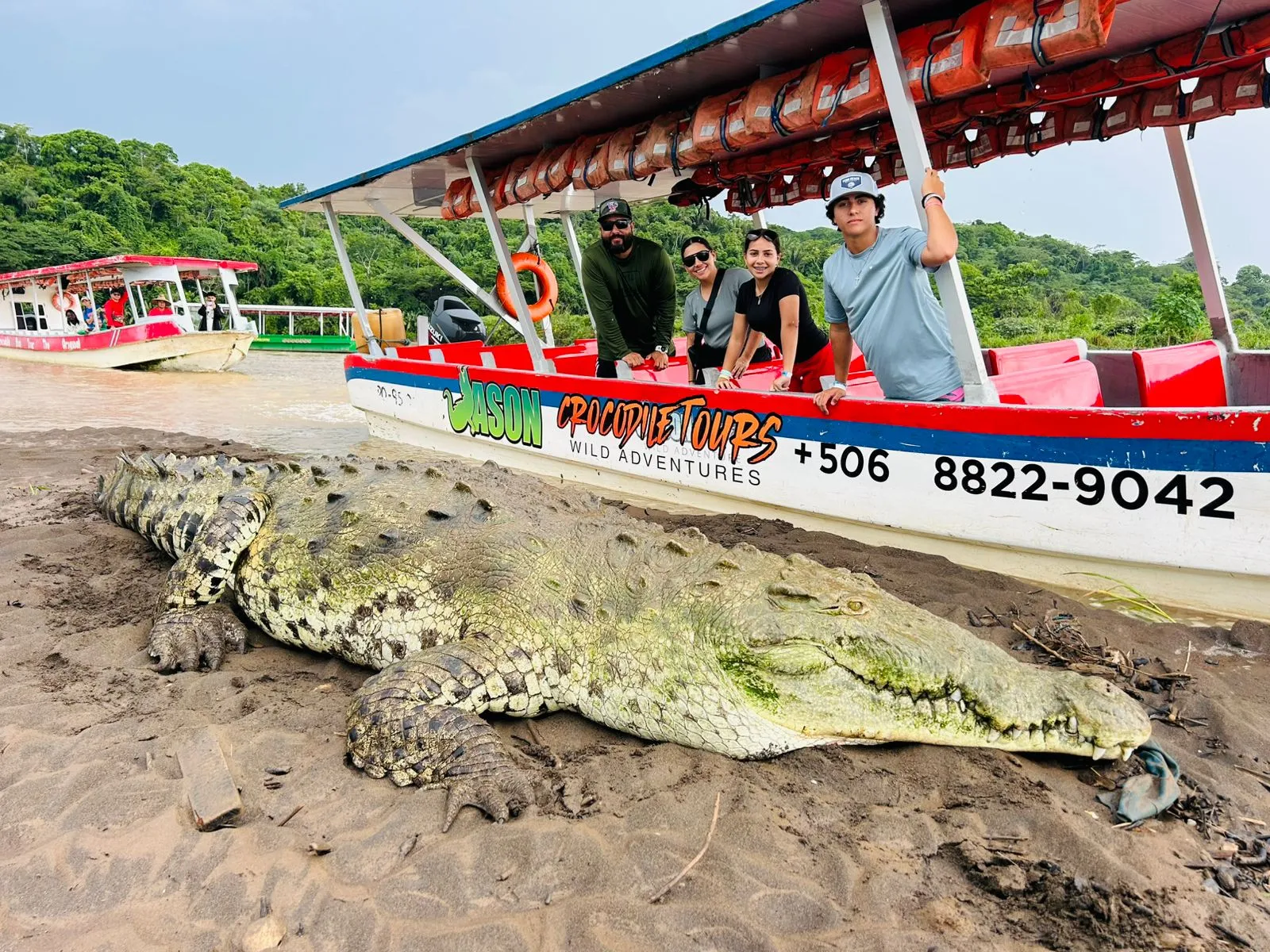 Jason Crocodile Tour 2