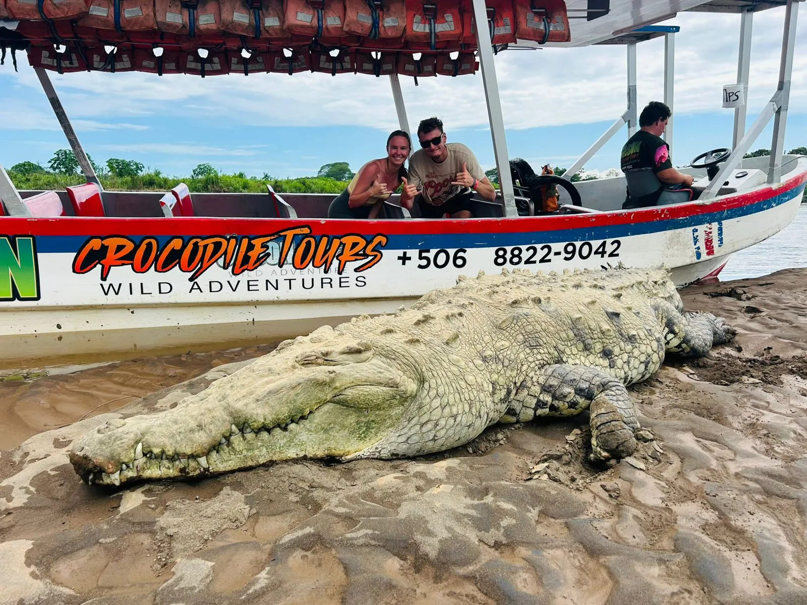 Jason Crocodile Tour 3